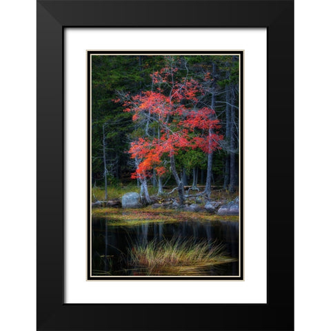 Red Reflections I Black Modern Wood Framed Art Print with Double Matting by Head, Danny