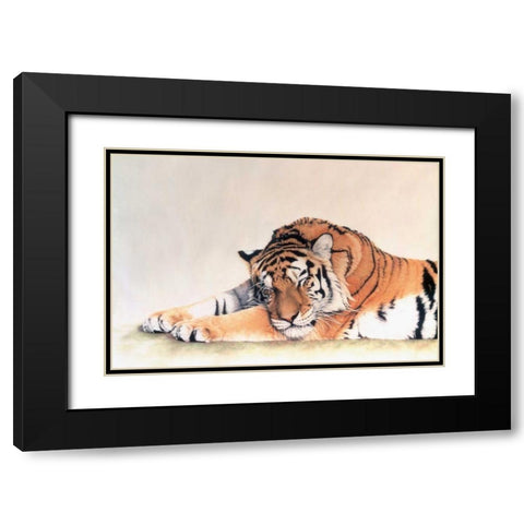 Sleeping Tiger Black Modern Wood Framed Art Print with Double Matting by Henderson, Jan