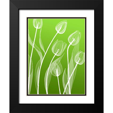 IN246_4 Black Modern Wood Framed Art Print with Double Matting by GraphINC Studio