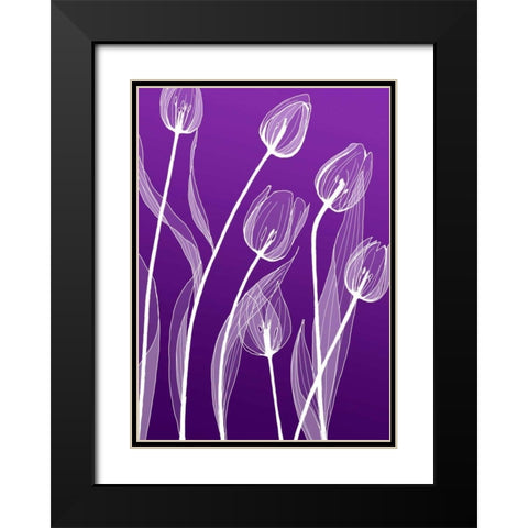 X-ray Flowers Black Modern Wood Framed Art Print with Double Matting by GraphINC