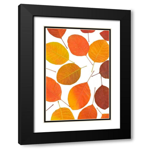 Brown Leaves Black Modern Wood Framed Art Print with Double Matting by PhotoINC Studio