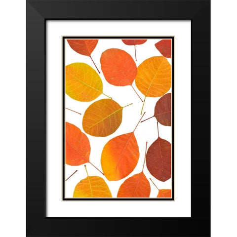 Brown Leaves Black Modern Wood Framed Art Print with Double Matting by PhotoINC Studio