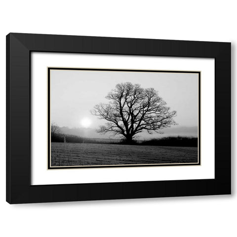 Meadow Tree Black Modern Wood Framed Art Print with Double Matting by PhotoINC Studio