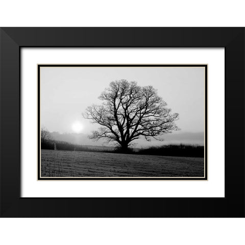 Meadow Tree Black Modern Wood Framed Art Print with Double Matting by PhotoINC Studio