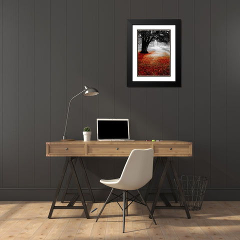 Autumn Contrast Black Modern Wood Framed Art Print with Double Matting by PhotoINC Studio