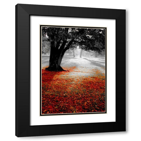 Autumn Contrast Black Modern Wood Framed Art Print with Double Matting by PhotoINC Studio