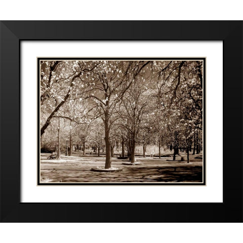 Cherry Tree Park Black Modern Wood Framed Art Print with Double Matting by PhotoINC Studio