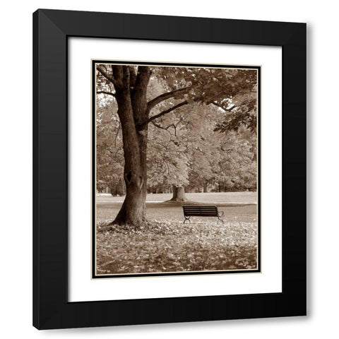 Park View Black Modern Wood Framed Art Print with Double Matting by PhotoINC Studio
