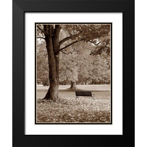 Park View Black Modern Wood Framed Art Print with Double Matting by PhotoINC Studio