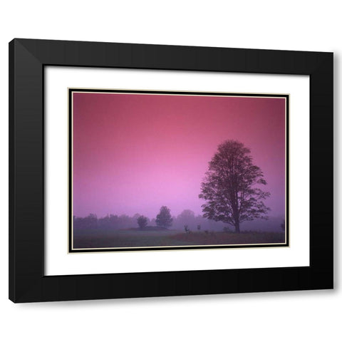 Evening Fields Black Modern Wood Framed Art Print with Double Matting by PhotoINC Studio
