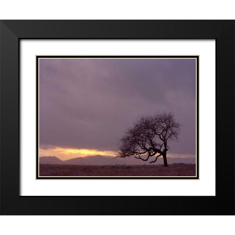 Field Black Modern Wood Framed Art Print with Double Matting by PhotoINC Studio