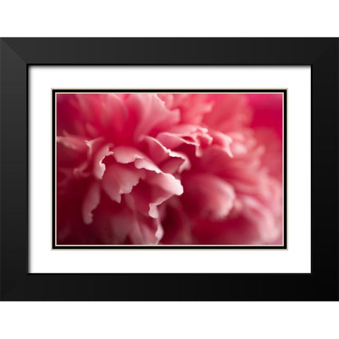 Nebula Black Modern Wood Framed Art Print with Double Matting by PhotoINC Studio