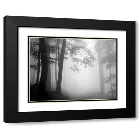 Woods Black Modern Wood Framed Art Print with Double Matting by PhotoINC Studio