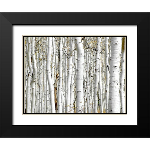 Birch Wood Black Modern Wood Framed Art Print with Double Matting by PhotoINC Studio