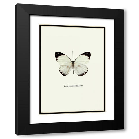 White Butterfly Black Modern Wood Framed Art Print with Double Matting by GraphINC