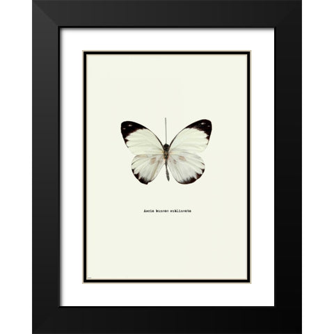 White Butterfly Black Modern Wood Framed Art Print with Double Matting by GraphINC
