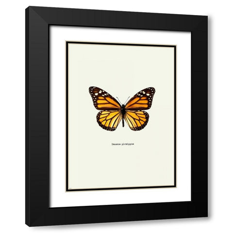 Yellow Butterfly Black Modern Wood Framed Art Print with Double Matting by GraphINC