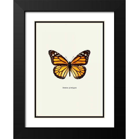 Yellow Butterfly Black Modern Wood Framed Art Print with Double Matting by GraphINC