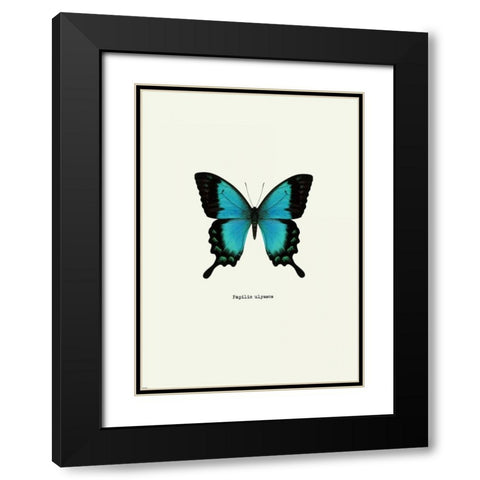 Blue Butterfly Black Modern Wood Framed Art Print with Double Matting by GraphINC