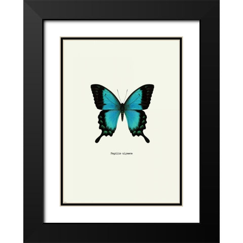 Blue Butterfly Black Modern Wood Framed Art Print with Double Matting by GraphINC