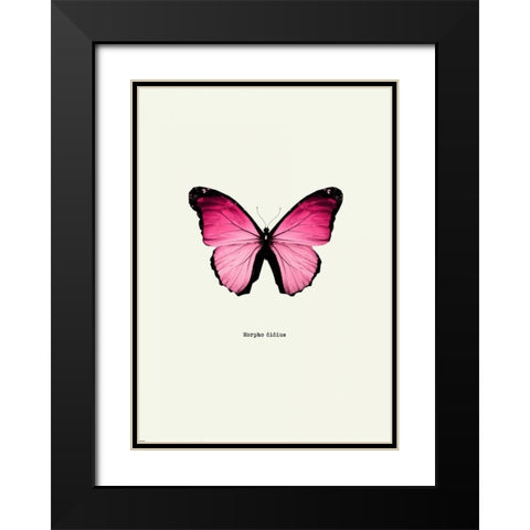 Pink Butterfly Black Modern Wood Framed Art Print with Double Matting by GraphINC