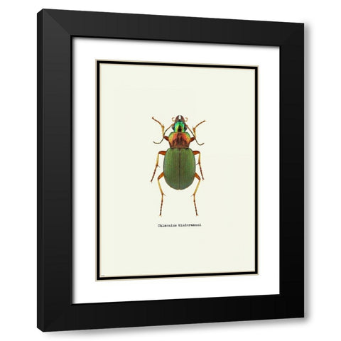 Beetle Green Black Modern Wood Framed Art Print with Double Matting by GraphINC