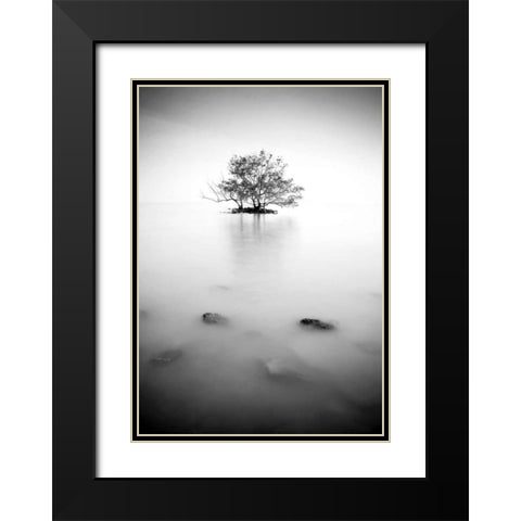 In the mist Black Modern Wood Framed Art Print with Double Matting by PhotoINC Studio