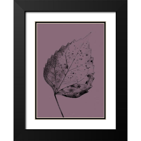 Heaven on 3rd IV Black Modern Wood Framed Art Print with Double Matting by Incado