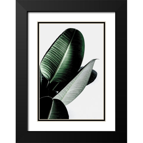 Leaves Black Modern Wood Framed Art Print with Double Matting by Incado