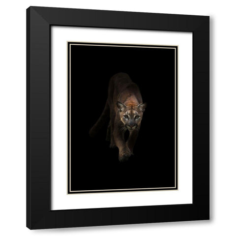 Lion Black Modern Wood Framed Art Print with Double Matting by Incado