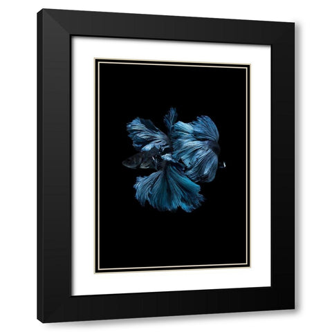 Blue Betta Black Modern Wood Framed Art Print with Double Matting by Incado