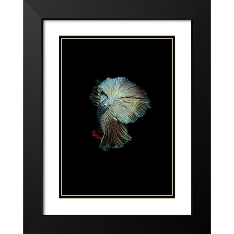 Turquoise and Red Betta Black Modern Wood Framed Art Print with Double Matting by Incado