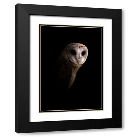 Owl Black Modern Wood Framed Art Print with Double Matting by Incado