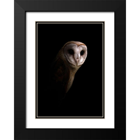 Owl Black Modern Wood Framed Art Print with Double Matting by Incado