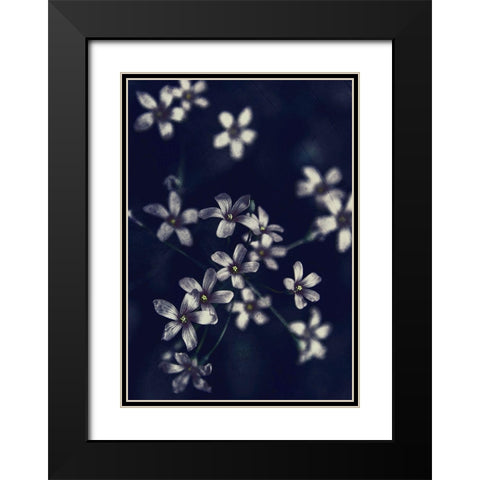Small Flowers Black Modern Wood Framed Art Print with Double Matting by Incado