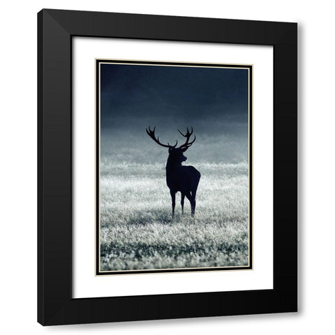 Silhouette Deer Black Modern Wood Framed Art Print with Double Matting by Incado