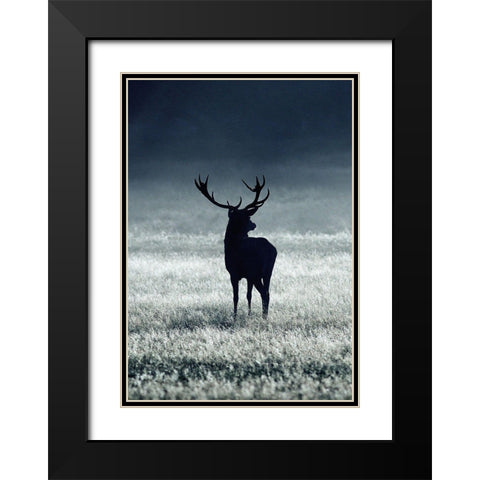 Silhouette Deer Black Modern Wood Framed Art Print with Double Matting by Incado