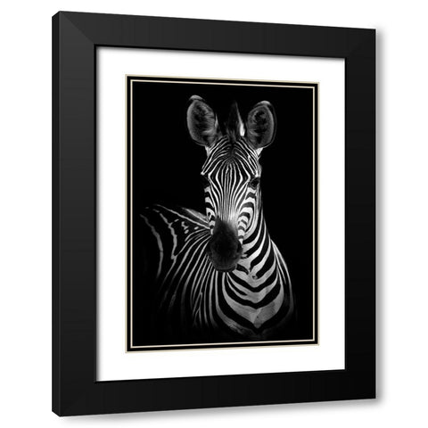 Zebra Black Modern Wood Framed Art Print with Double Matting by Incado