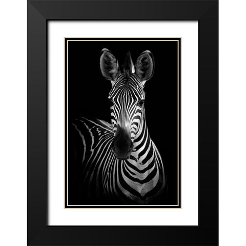 Zebra Black Modern Wood Framed Art Print with Double Matting by Incado