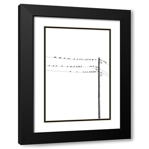 Birds on Wires Black Modern Wood Framed Art Print with Double Matting by Incado