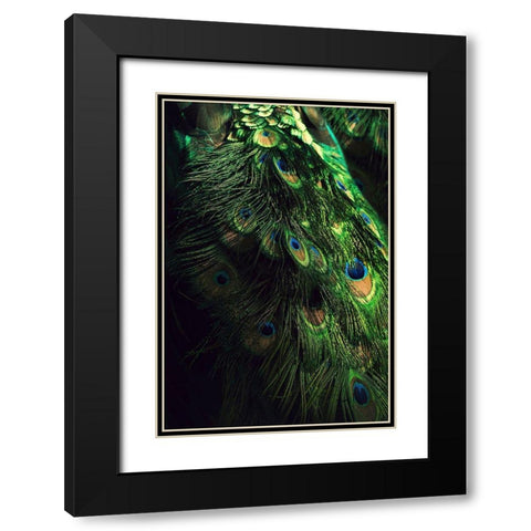 Peacock Tail Black Modern Wood Framed Art Print with Double Matting by Incado