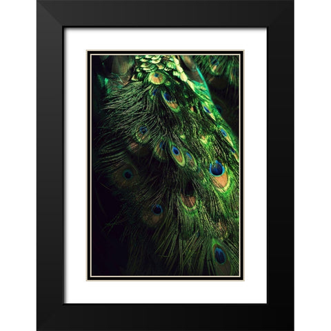 Peacock Tail Black Modern Wood Framed Art Print with Double Matting by Incado
