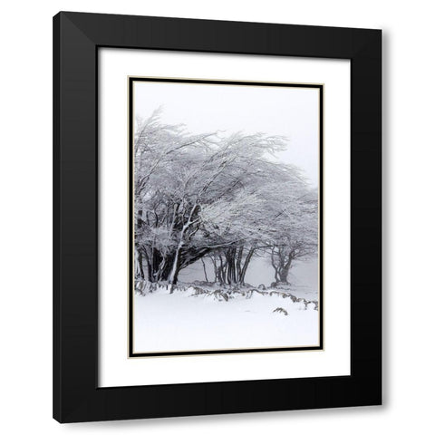 Winter Storm Black Modern Wood Framed Art Print with Double Matting by Incado