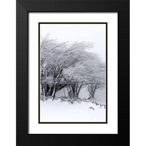 Winter Storm Black Modern Wood Framed Art Print with Double Matting by Incado