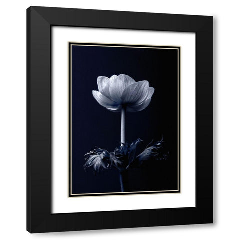 Single Flower Black Modern Wood Framed Art Print with Double Matting by Incado