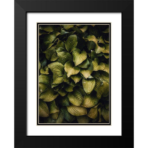 Hostas Leaves Black Modern Wood Framed Art Print with Double Matting by Incado
