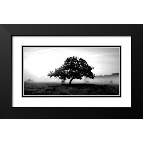 Solemn Tree Black Modern Wood Framed Art Print with Double Matting by PhotoINC Studio
