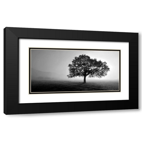 Tree in Mist Black Modern Wood Framed Art Print with Double Matting by PhotoINC Studio
