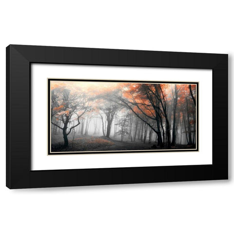 Autumn Woods Black Modern Wood Framed Art Print with Double Matting by PhotoINC Studio