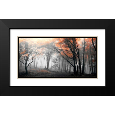 Autumn Woods Black Modern Wood Framed Art Print with Double Matting by PhotoINC Studio